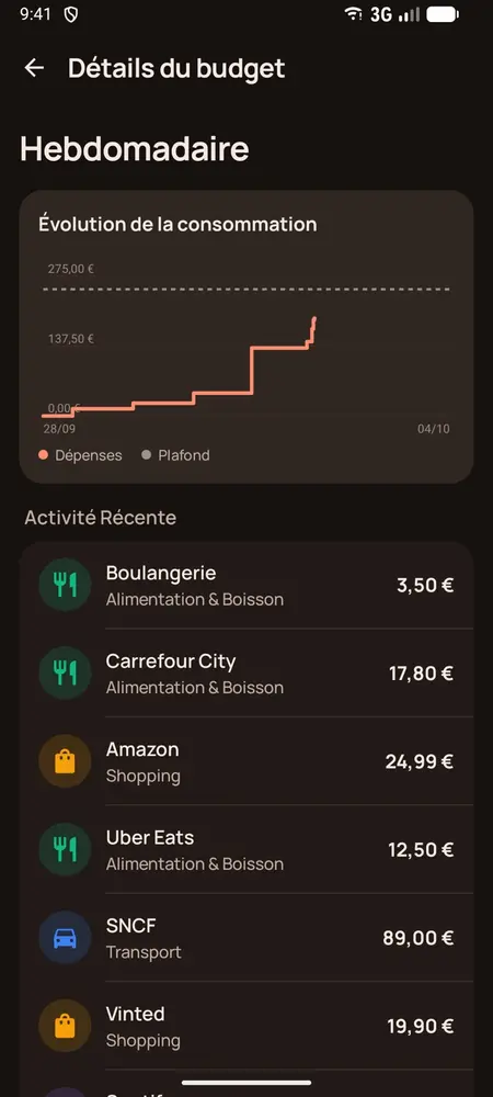 Détail d'un budget (thème sombre)